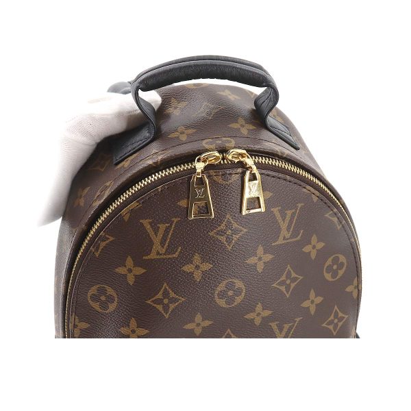 6 Louis Vuitton Monogram Palm Springs Backpack PM Backpack Brown