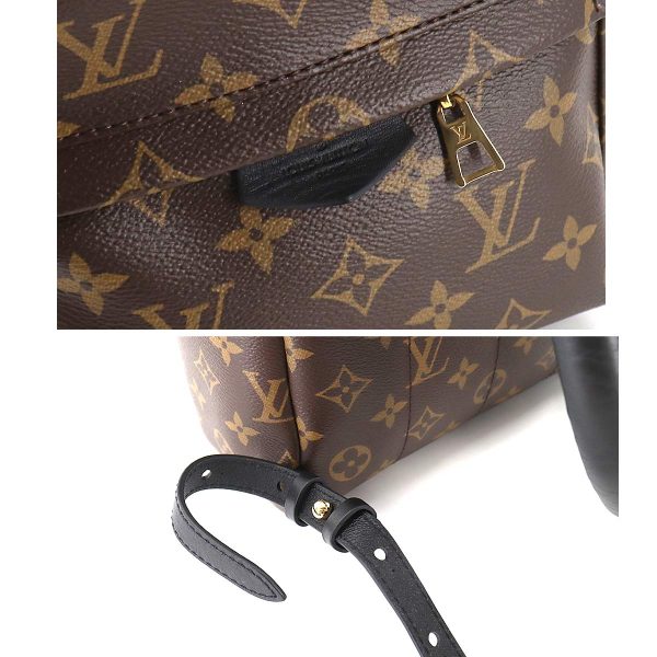 7 Louis Vuitton Monogram Palm Springs Backpack PM Backpack Brown