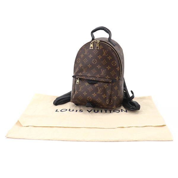 8 Louis Vuitton Monogram Palm Springs Backpack PM Backpack Brown