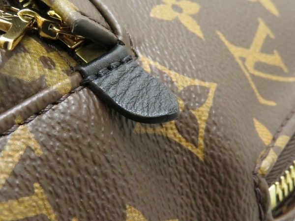 8 Louis Vuitton Palm Springs Backpack MM Monogram