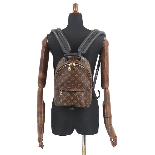 9 Louis Vuitton Monogram Palm Springs Backpack PM Backpack Brown