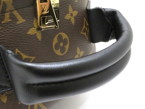 9 Louis Vuitton Palm Springs Backpack MM Monogram