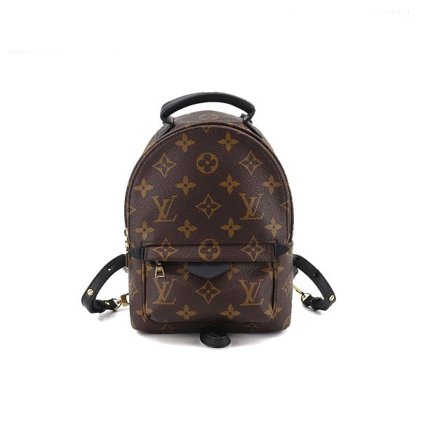 1 Louis Vuitton Monogram Palm Springs Backpack Mini Rucksack