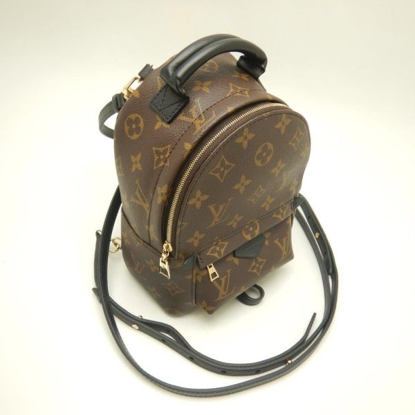 2 Louis Vuitton Monogram Palm Springs Backpack MINI Brown