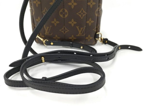 2000773258800568 4 Louis Vuitton Monogram Palm Springs MINI Rucksack