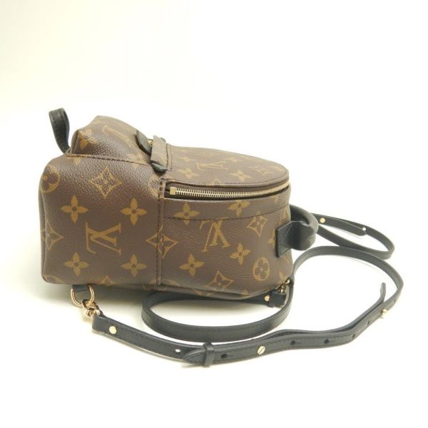 3 Louis Vuitton Monogram Palm Springs Backpack MINI Brown