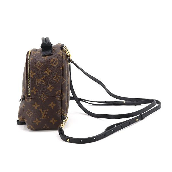 3 Louis Vuitton Monogram Palm Springs Backpack Mini Rucksack