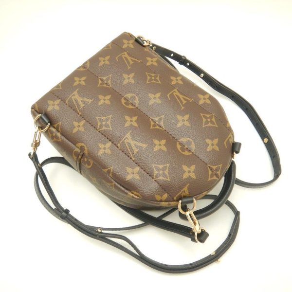 4 Louis Vuitton Monogram Palm Springs Backpack MINI Brown