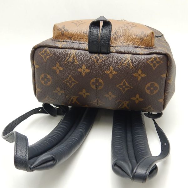 4 Louis Vuitton Palm Springs PM Backpack Monogram Reverse Brown