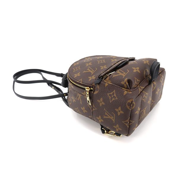 4 Louis Vuitton Monogram Palm Springs Backpack Mini Rucksack