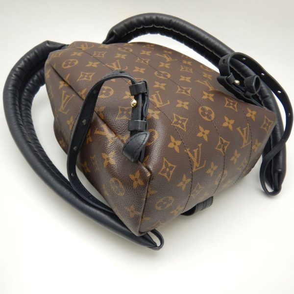 6 Louis Vuitton Palm Springs PM Backpack Monogram Reverse Brown