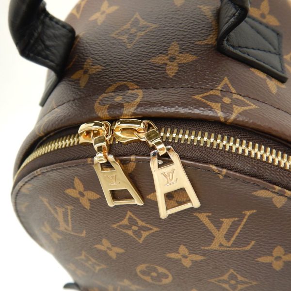 6 Louis Vuitton Monogram Palm Springs Rucksack Backpack PM Brown