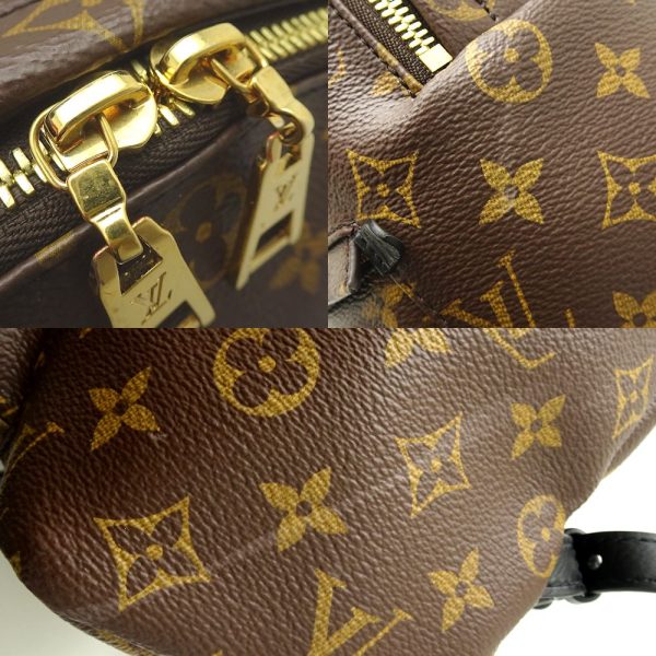 6 Louis Vuitton Monogram Palm Springs Backpack MM Brown