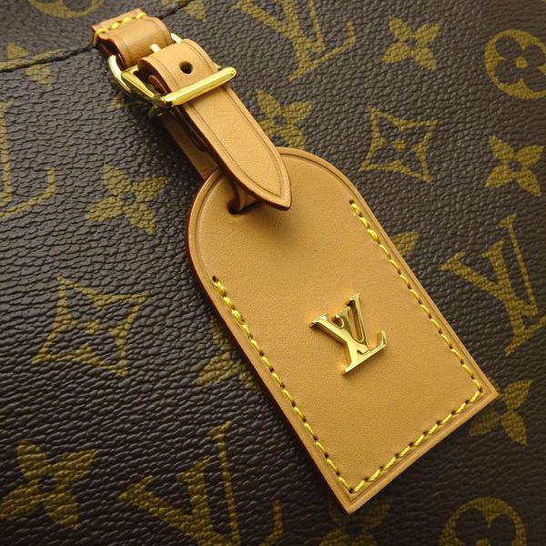 6 Louis Vuitton Monogram Odeon NM PM Natural