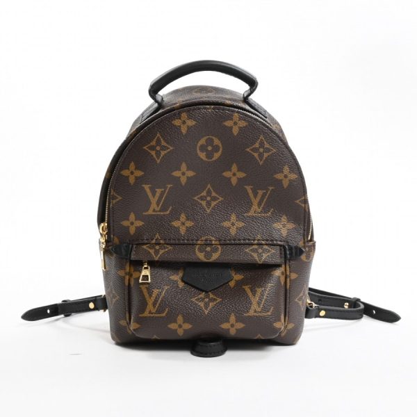 6073435 1 1 Louis Vuitton Palm Springs Mini Backpack