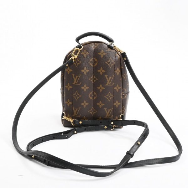 6073435 12 Louis Vuitton Palm Springs Mini Backpack