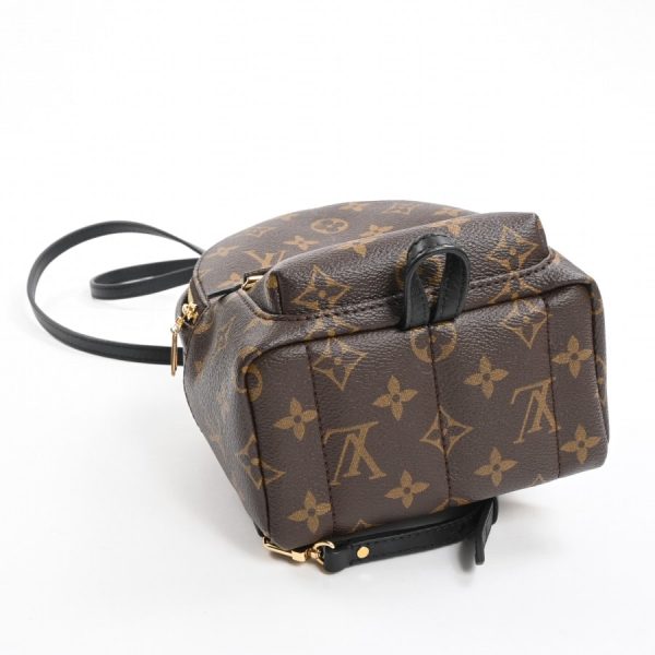 6073435 14 Louis Vuitton Palm Springs Mini Backpack