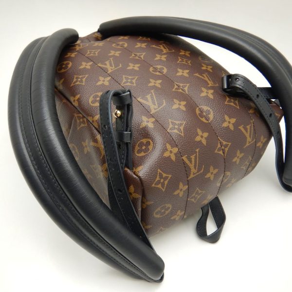 7 Louis Vuitton Palm Springs Backpack PM Monogram Reverse Brown