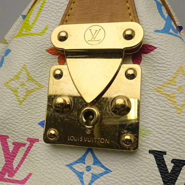 7 Louis Vuitton Multicolor Speedy 30 Bron Boston Bag