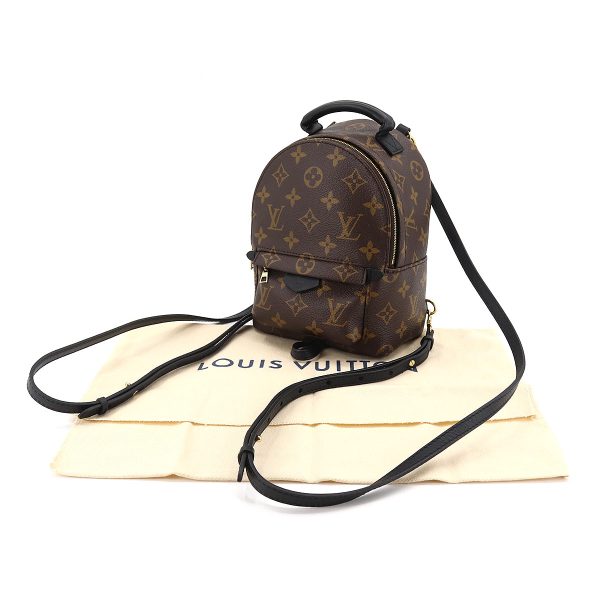 7 Louis Vuitton Monogram Palm Springs Backpack Mini Rucksack