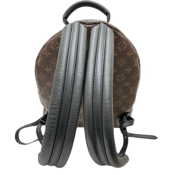 3 Louis Vuitton Palm Springs Backpack PM Daypack Brown