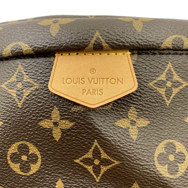 6 Louis Vuitton Bum Bag Monogram Unisex