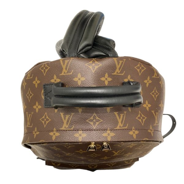 7 Louis Vuitton Palm Springs Backpack PM Daypack Brown