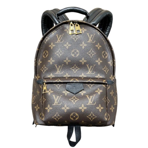 1 Louis Vuitton Palm Springs Backpack PM Brown