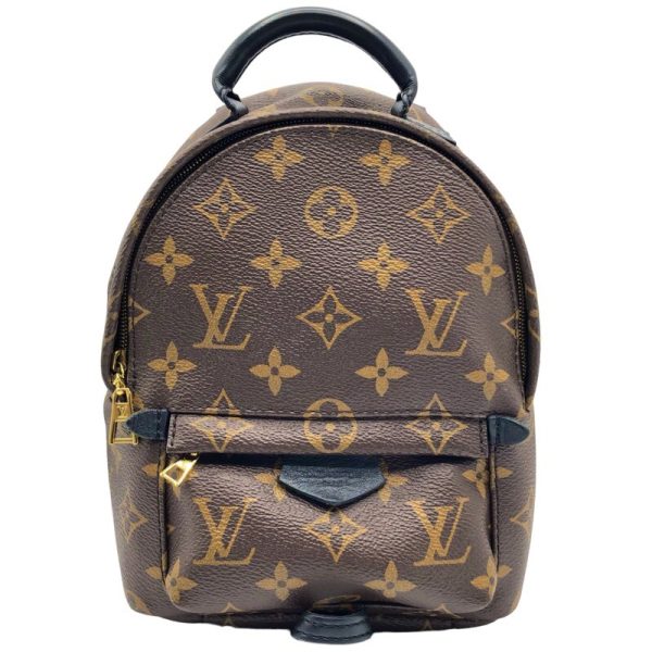 1 Louis Vuitton Palm Springs Mini Backpack Daypack