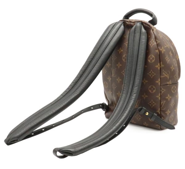 11970286 1 Louis Vuitton Monogram Reverse Palm Springs Backpack PM Rucksack Leather