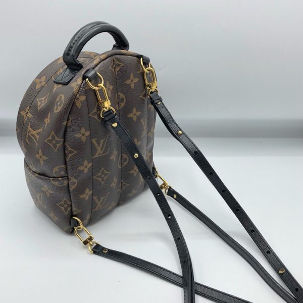 2 Louis Vuitton Palm Springs Mini Backpack Daypack