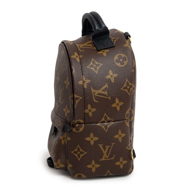 4 Louis Vuitton Palm Springs Mini Backpack Rucksack Daypack Brown