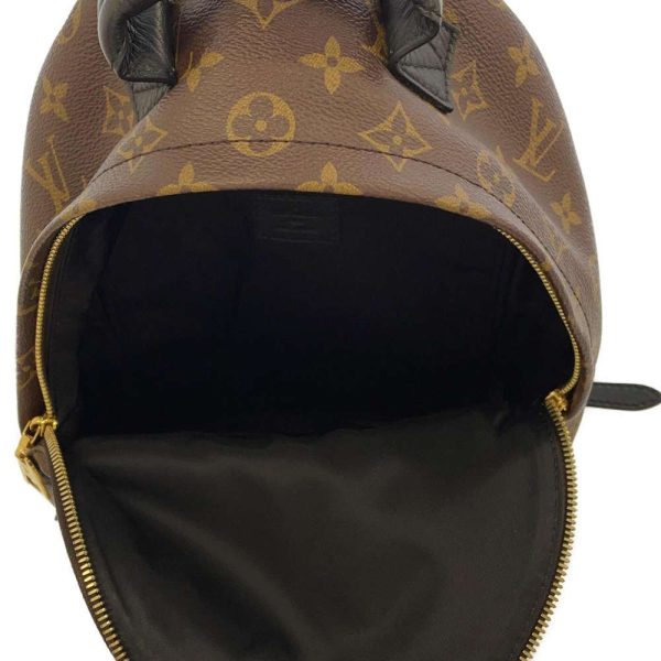 6 Louis Vuitton Rucksack Palm Springs Backpack PM Black