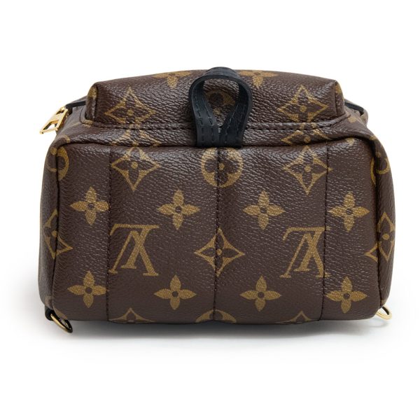 6 Louis Vuitton Palm Springs Mini Backpack Rucksack Daypack Brown