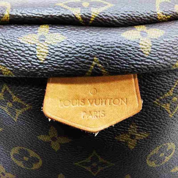 8 Louis Vuitton Bum Bag Monogram