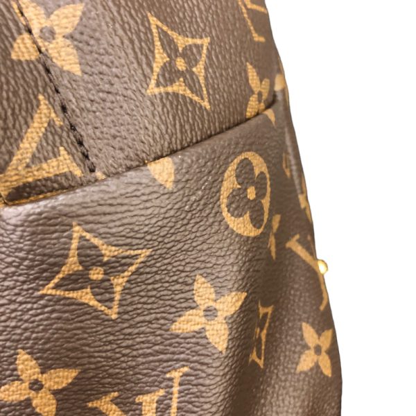 9 Louis Vuitton Palm Springs Backpack PM Brown