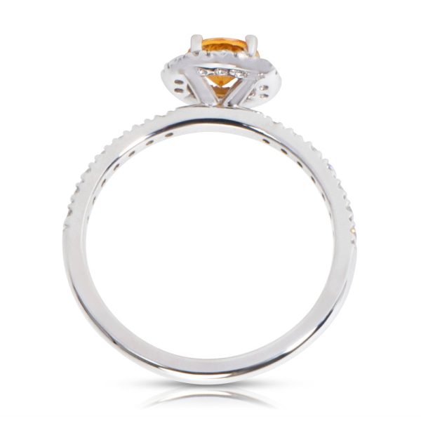 028081 PV aa16f4f6 1c1e 4943 bd6e c2960c4ab9bf BRAND NEW Citrine Diamond Halo Ring in 14K White Gold 040 CTW