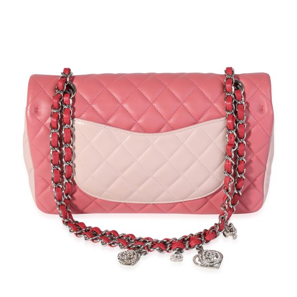 121096 pv e3c19b3e bc65 43b4 826d 6f5bf6ea9810 Chanel Pink Red Quilted Lambskin Valentines Day Single Flap Bag