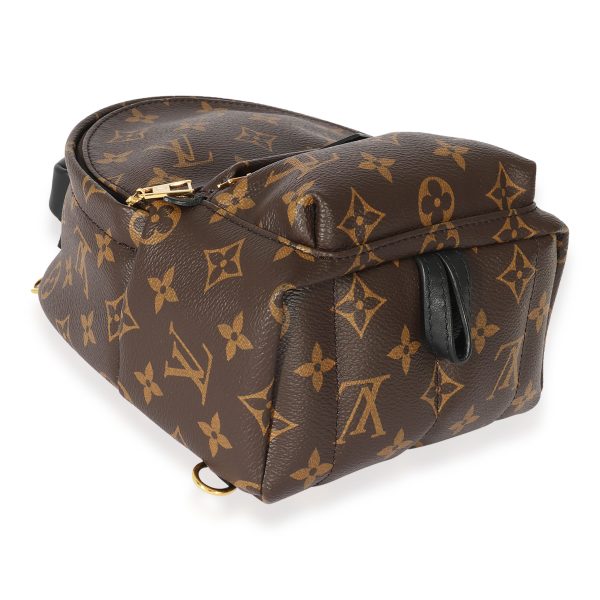 127789 clasp cd39687d 1a4a 47de bb27 57be91d48e70 Louis Vuitton Monogram Mini Palm Spring Backpack