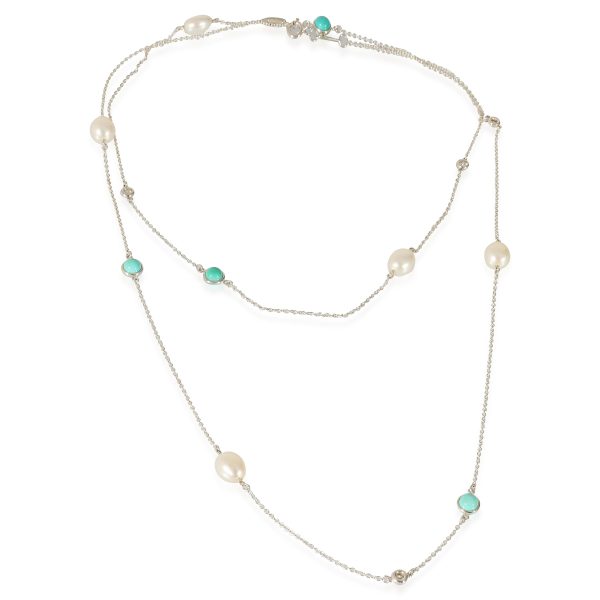 135038 pv b8233f59 1f3a 4dac bc4b 0de9255d3bd9 Tiffany Co Elsa Peretti Color by the Yard Sprinkle Necklace in Silver 02 CTW