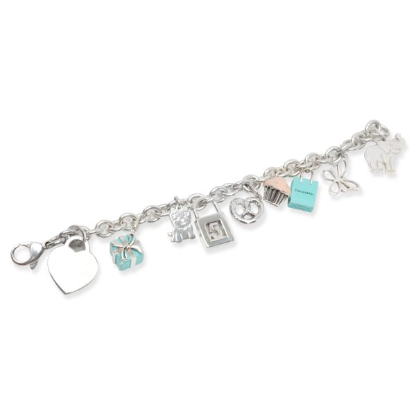 102977 pv Tiffany Co Charm Bracelet in Sterling Silver