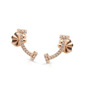 Tiffany Co T Smile Earrings in 18K Rose Gold 006 CTW Chanel Light Orange Quilted Lambskin Chanel 19 Mini Flap Bag