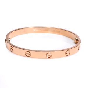 Cartier Love Bracelet in 18KT Rose Gold Fendi Brown Debossed Leather Tortoiseshell Plexiglass Medium Sunshine Shopper