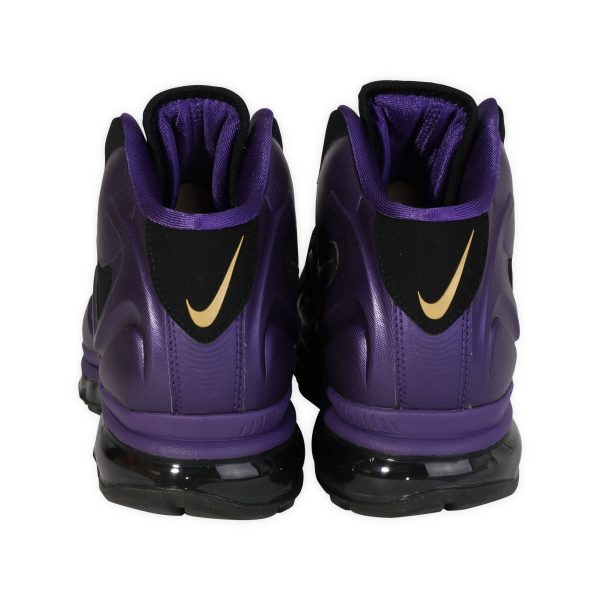 120576 bv c676e1be 8997 41d7 8453 c43477ac09c5 Nike Air Max Flyposite Black Club Purple 115 US