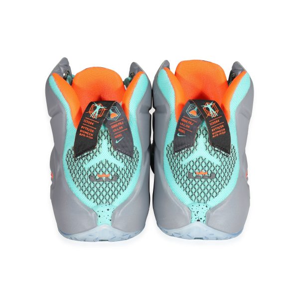 121250 bv Nike LeBron 12 GS NSRL 65 US