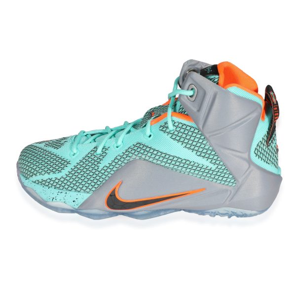 Nike LeBron 12 GS NSRL 65 US Nike LeBron 12 GS NSRL 65 US