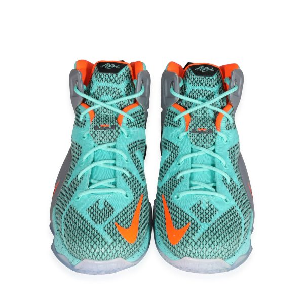 121250 pv Nike LeBron 12 GS NSRL 65 US