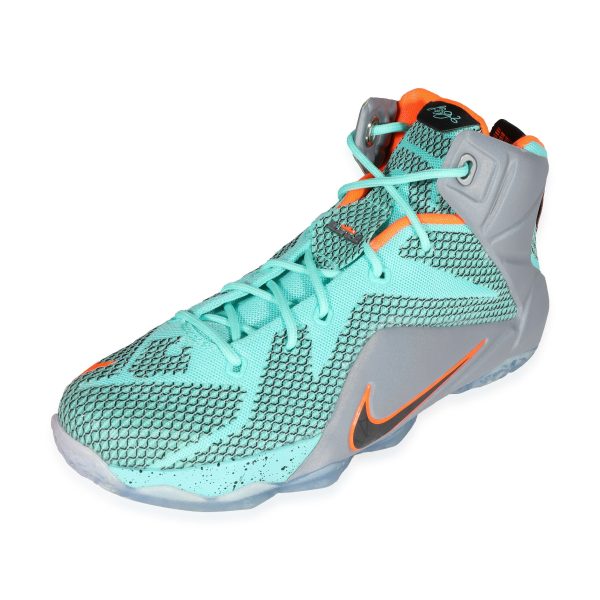 121250 sv Nike LeBron 12 GS NSRL 65 US