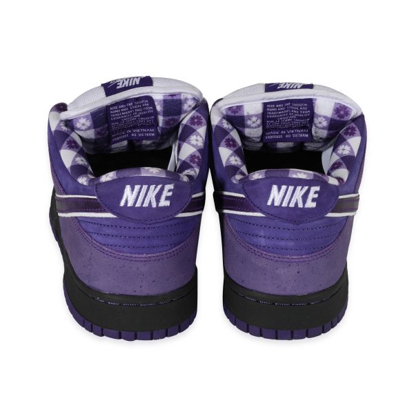 122180 bv 33dc660f 1498 4053 aa5d 7198526aad00 Concepts x Dunk Low SB Purple Lobster