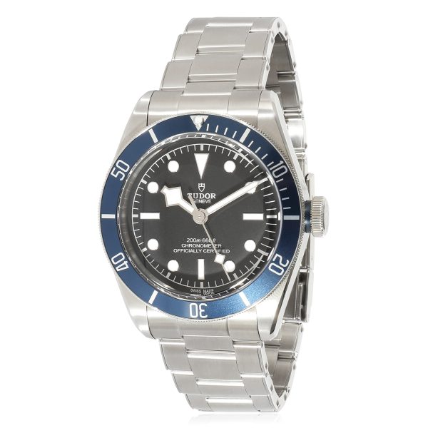 Tudor Black Bay 79230B Mens Watch in Stainless Steel Tudor Black Bay 79230B Mens Watch in Stainless Steel